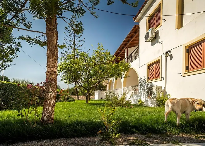 Kiki Studios